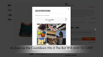 KopThoseKicks Sneaker Bot For Nike