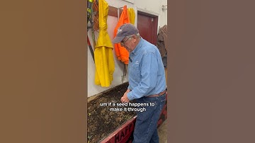 Will the seeds sprout when people buy your worm castings #wormfarm #worm #vermicompost #wormcasting