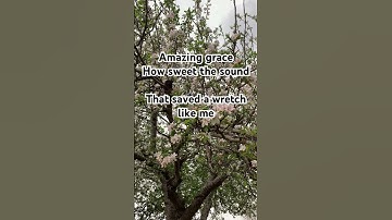 Thumbnail of Amazing grace, how sweet the sound 🌸 #amazinggrace #acousticworship #christianmusic #worshipsongs