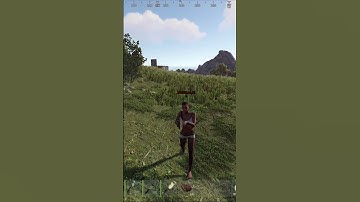 Лучший тайминг в РАСТ / #rust  #short #раст