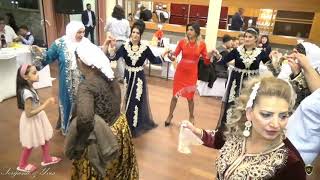 Studio Sl Bijav Ki Belgija 4 Deo Ki Familija Ameti