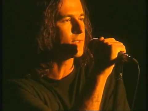 שרון מולדבי כנפיים 