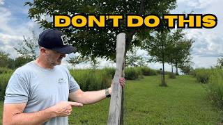 The Biggest Mistakes I Made Growing Chestnut Trees