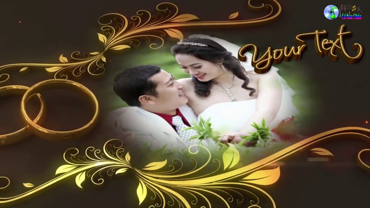 adobe after effects cc wedding templates free download