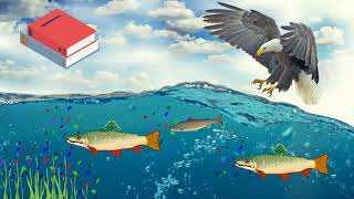 Did you know that #12 | How to help reduce microplastics pollution in aquatic environments