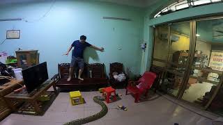 Python slithers into house, startles man in Hải Dương City, Vietnam