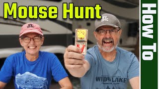 How to Trap & Stop RV Mouse/Rodent Infestation (RV Living Full Time) 4K