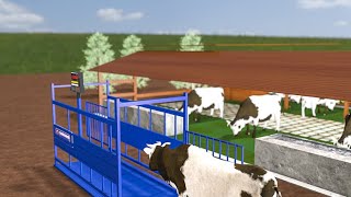 Stop Guesswork! Digital Livestock Weighing & RFID Tracking System for Cows & Pigs | Animal Scales