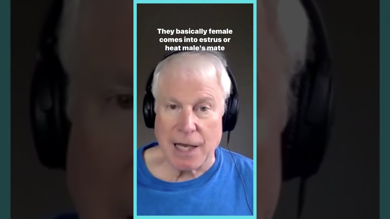 Humans A Unique Species In How We Mate Says David Buss Evolution Davidbuss Science