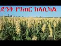 ድንቅ የተፈጥሮ የአማረኛ ክላሲካል Best Ethiopian Classical New Classical Best Instrumental Music