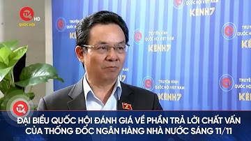 Đại biểu Quốc hội đánh giá về phần trả lời chất vấn của Thống đốc Ngân hàng Nhà nước sáng 11/11