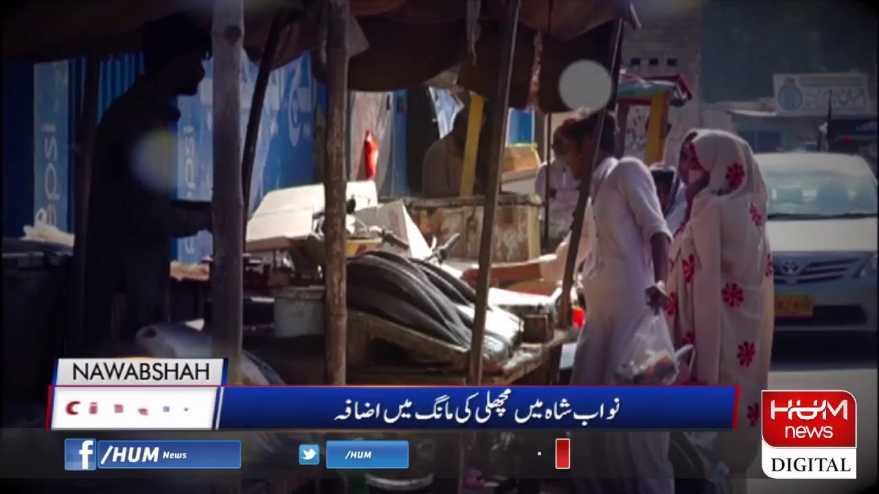 LIVE City News Bulletin 1700, 17 Dec 2019 YouTube