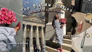 The BigLaw Diaries: officially an NYC BigLaw Attorney!! panel in HTX, busy and billing + more!