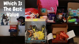 Bullymake Box Reviews: Get All The Details At Hello Subscription!