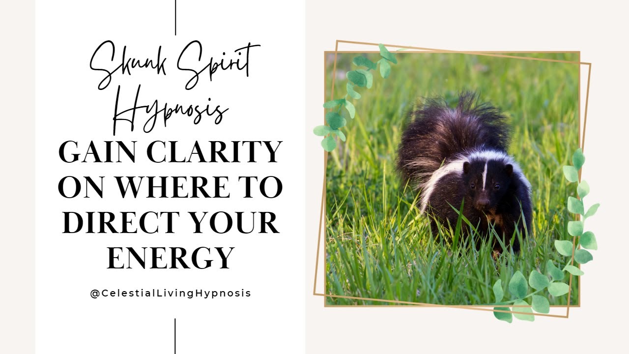 Hypnosis for Clarity and Directing Your Energy - Skunk Spirit Embodiement  (Black Screen & Wake Up) - YouTube