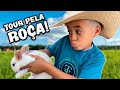TOUR PELA MINHA ROÇA (MINI AGROBOY) - PARTE 1 | ISAAC AMENDOIM