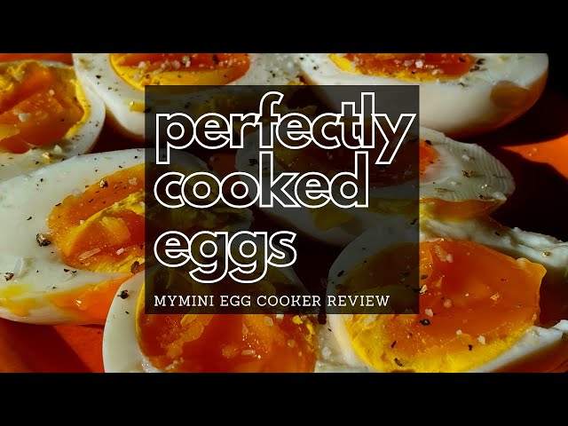 Reviewing Walmart Nostalgia egg cooker- Making an omelette 