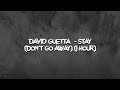 David Guetta  - Stay (Don't Go Away) (1 hour)