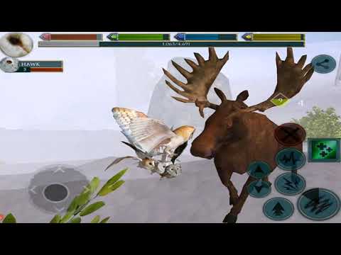 Owl Simulator, Ultimate Bird Simulator - By Gluten Free games