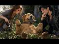 The Alpha King’s Dog Kept Stealing My Clothes… Until I Found Out It Was All His Plan