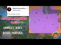 WorldBox Actualización 0.23|| Bioma Púrpura, Bebes Para Todos, SubEspecies.