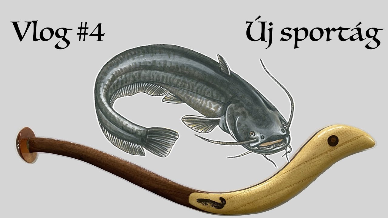 Kuttyogatás kajakból - Vlog #4