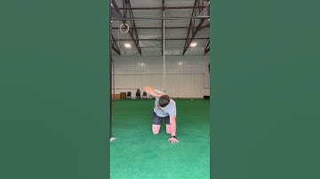 Quadruped thoracic rotation