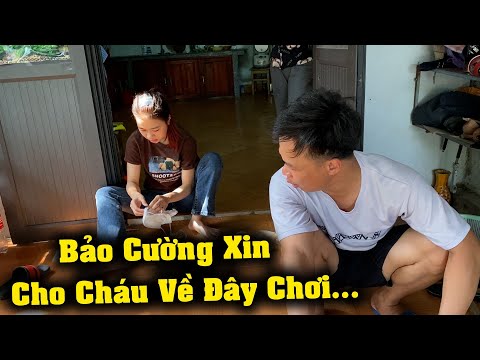 Video Ông Bà Ngoại Nhớ Cháu Bảo Ánh Về Bế Con Lên Chơi - youtube