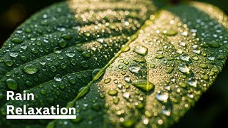 Rain on Tropical Leaves screenshot 2