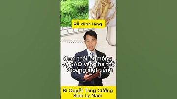 Rễ đinh lăng | Bí Quyết Tăng Cường Sinh Lý Nam #suckhoe #caythuocnam #xuhuong #caythuocnamquy