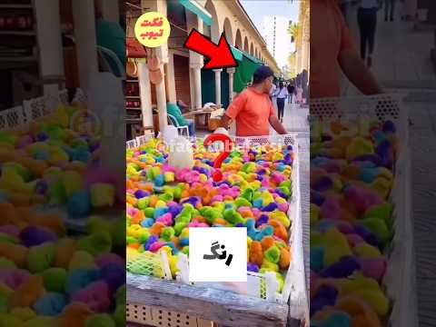 جوجه رنگی فکت دانستنی اطلاعات عمومی 