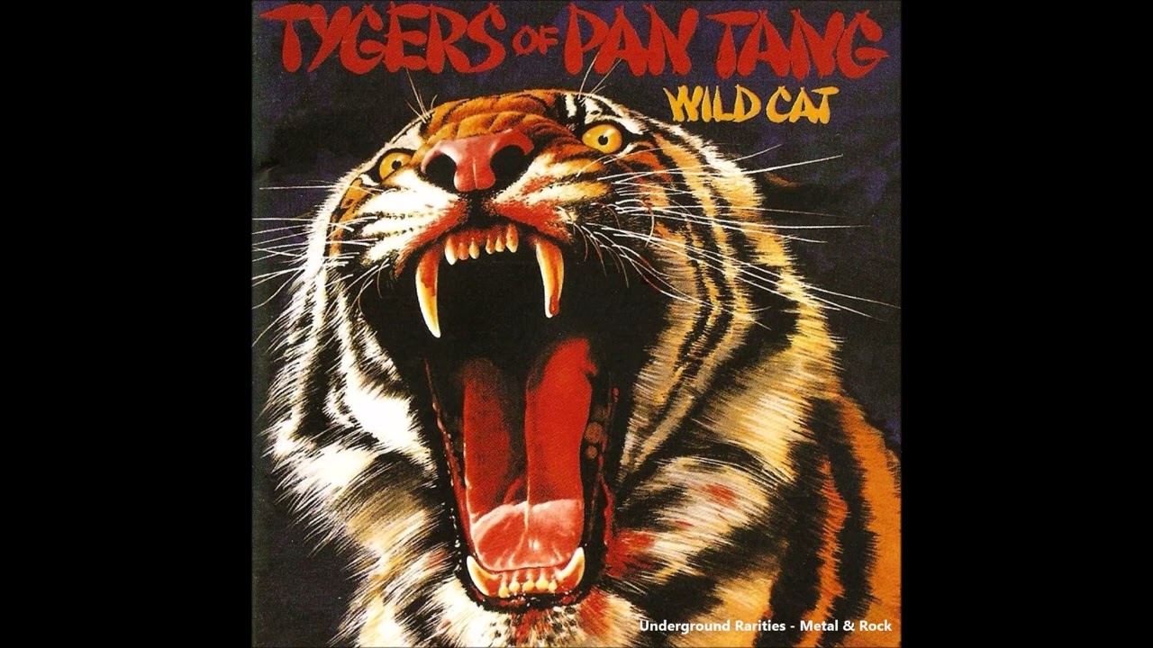T̲y̲gers O̲f P̲an T̲ang - W̲ild C̲at (1980) [Full Album] - YouTube