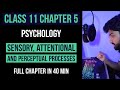 Chapter 5 | Sensory, Attentional And Perceptual Processes | Psychology Class 11 | NCERT/CBSE