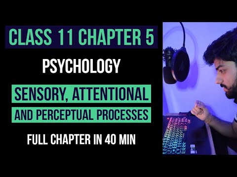 Chapter 5 | Sensory, Attentional And Perceptual Processes | Psychology Class 11 | NCERT/CBSE