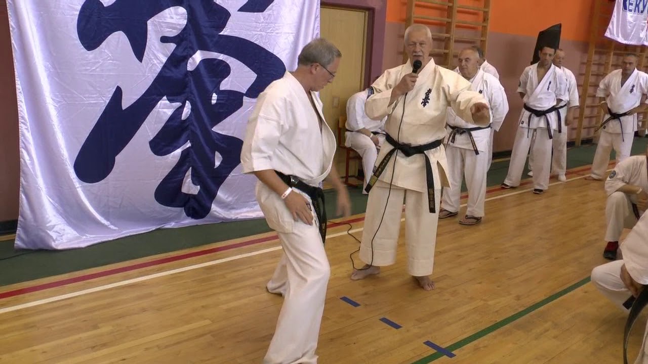 перемещение в киба дачи ен дзю го camera iphone 8 plus apk