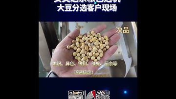 Soybean Sorting Machine #colorsorter #sortex #sortingmachine #sorter #sortingsystem