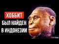 Хоббиты действительно существовали, но их истребили современные люди