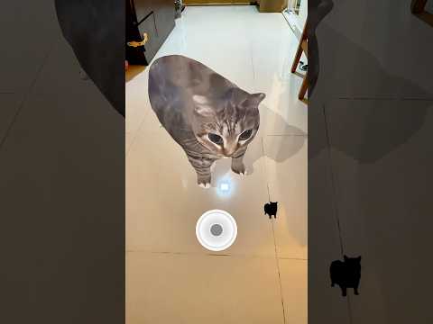 Kelakuan Seleb Tik Tok Menirukan Ekpresi Kucing