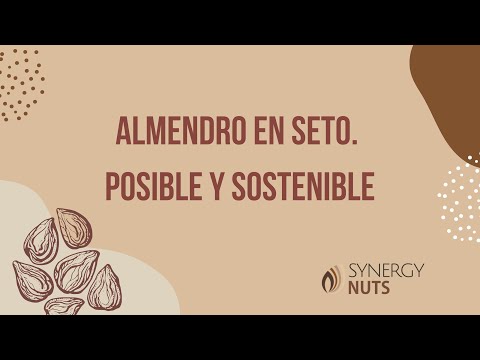 Vídeo 2: Almendro en seto. Posible y sostenible