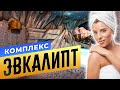 Оздоровительный комплекс &quot;Эвкалипт&quot; | Сауны СПБ | Бани.РФ