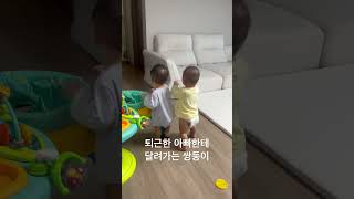 #쌍둥이브이로그 #쌍둥이 #아기쇼츠 #아기영상