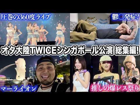 [Compilation] I went to Singapore to meet TWICE's Momo! A binge-watch of my ultimate fan life!!! ...