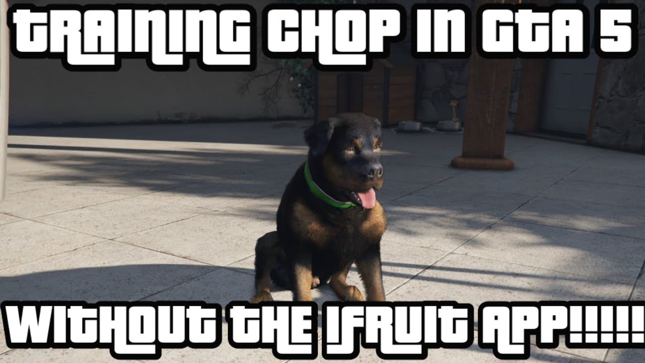 TRAINING CHOP WITHOUT THE IFRUIT APP IN GTA 5 YouTube 