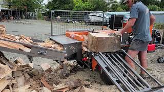 2023  . this Is a video in real time splitting bluegum .