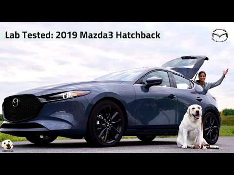 2019 Mazda3 Hatchback: Andie the Lab Review!