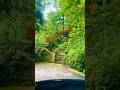 Stunning Murree #shorts #youtubeshorts #trending #viral #views #murree #nature