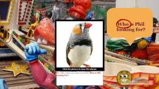 Say it Best Software:  Applications for Dementia and the Intellectually Challenged screenshot 5