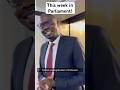 9 September 2025 | What is coming up this week in Parliament!