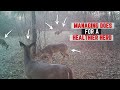 Doe Management  - Should You Harvest Does?