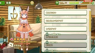Kemono Friends 3 Caracal charge Entertainment Introducion